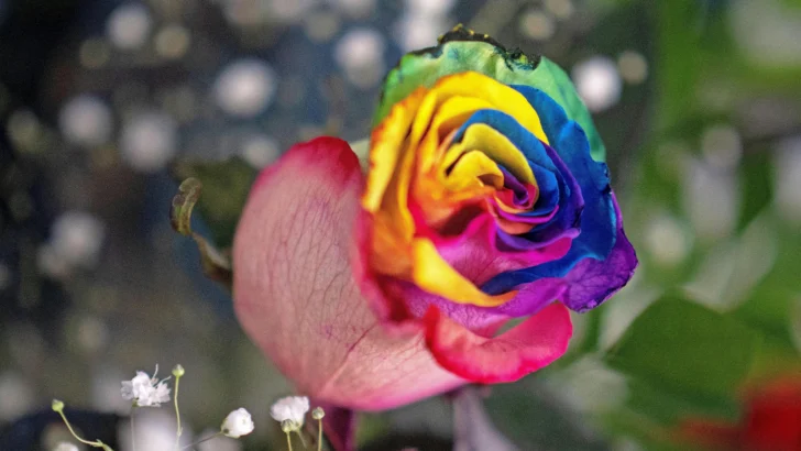 Gardening Experts Are Sounding the Alarm on AI Tips That Could Ruin Your Garden