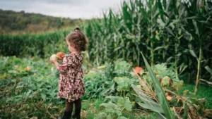 If Your Kids Won’t Eat Vegetables, You Haven’t Tried This Gardening Trick Yet