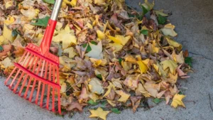 Never Skip These 8 Critical Fall Garden Chores Before the First Frost