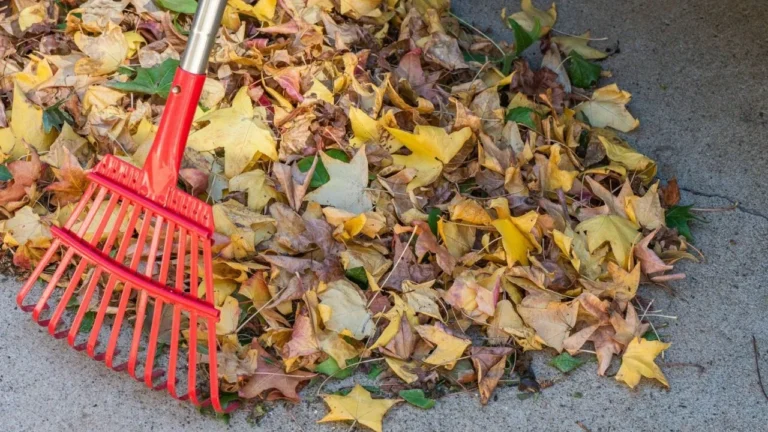A red rake laying on top of a pile of leaves.