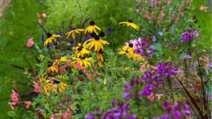 8 Low-Maintenance Perennials Every Gardening Enthusiast Should Plant