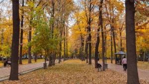 Where to See the Best Fall Foliage This October (and 7 Famous Spots to Never Visit Without a Permit)