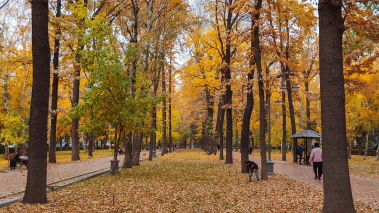 A woman walking her dog through a park in the fall.
