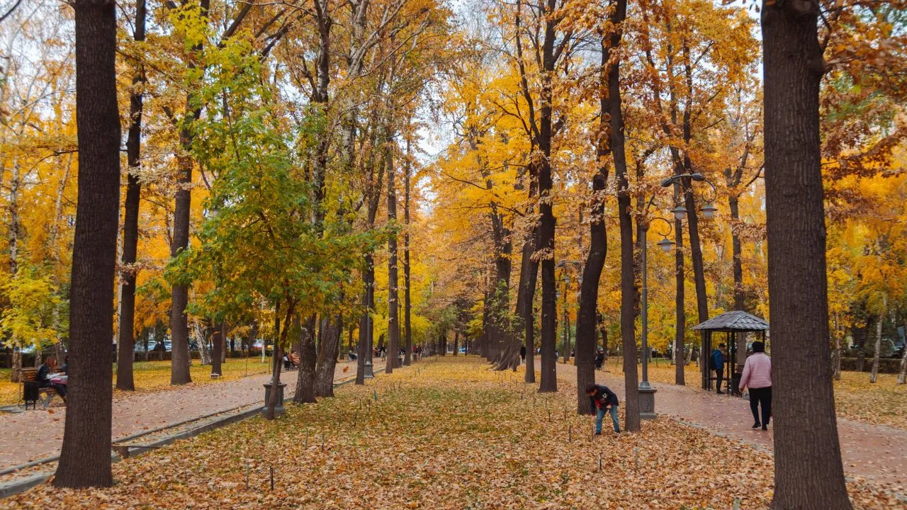 A woman walking her dog through a park in the fall.