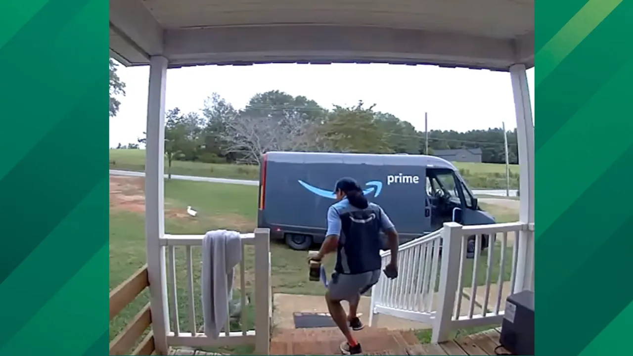 Amazon driver scared by rooster.