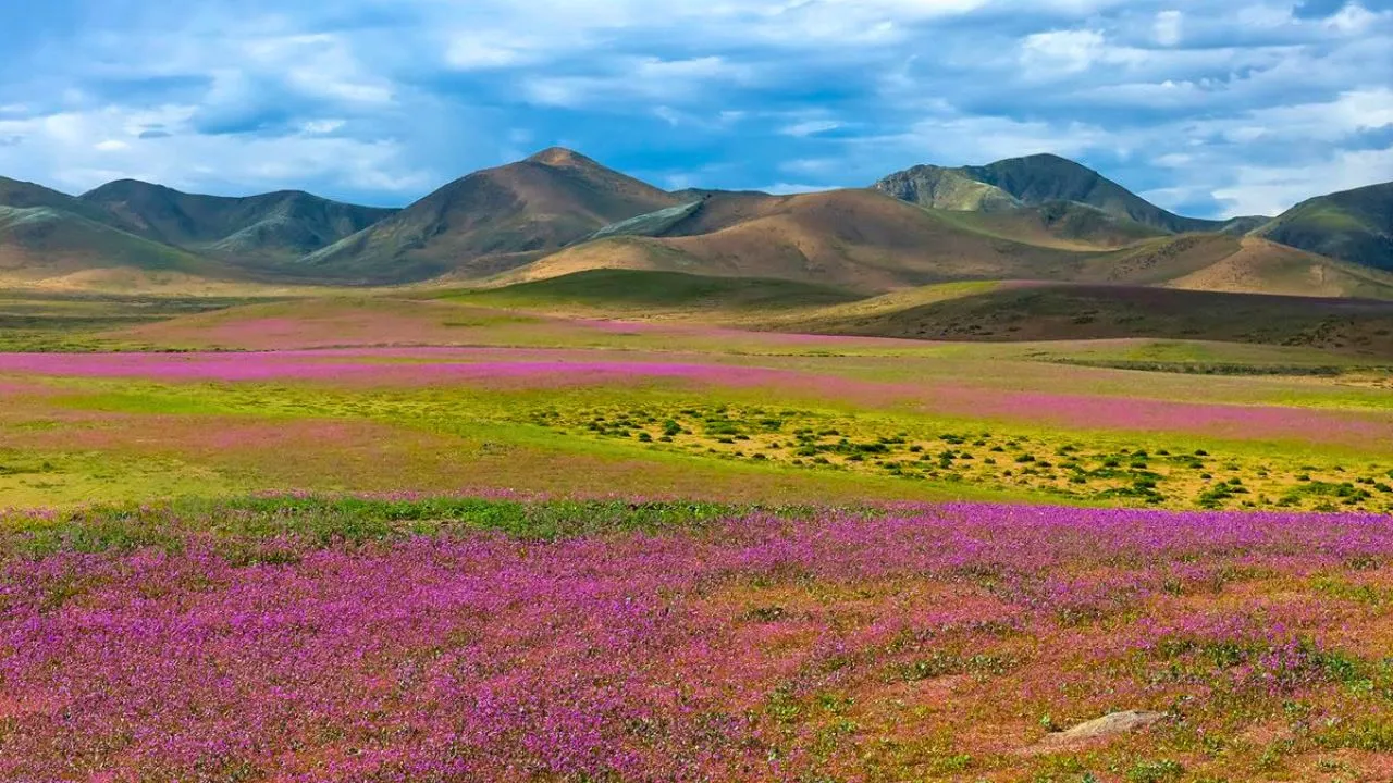 Atacama Desert.