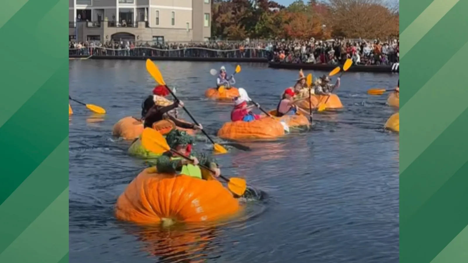 Pumpkin regatta.