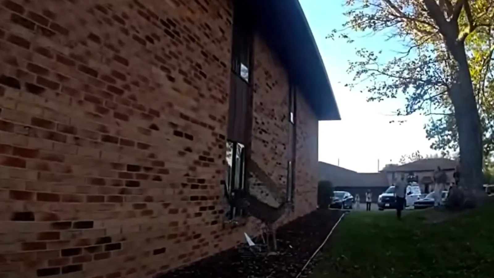 Deer breaks into home.