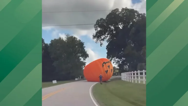 Giant pumpkin rolls down street.