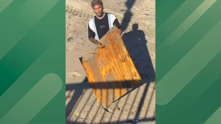 Dangerous materials wash up on shore.