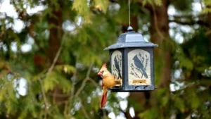 Why Wildlife Experts Are Telling People to Take Down Their Bird Feeders