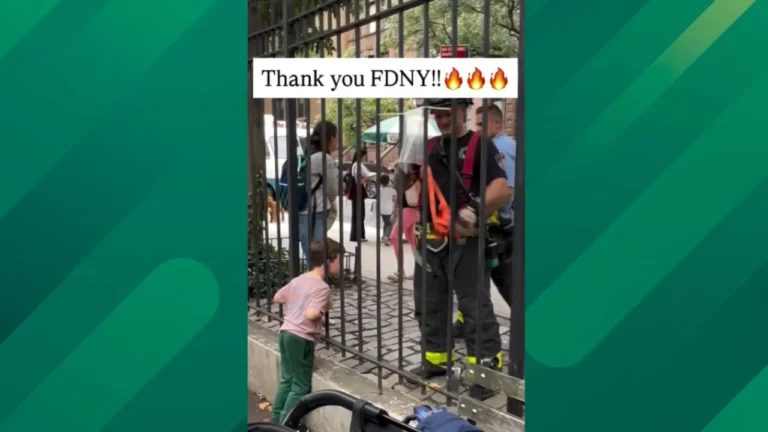 Child gets head stuck in playground.