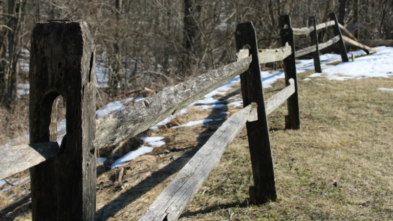 Split rail fence.