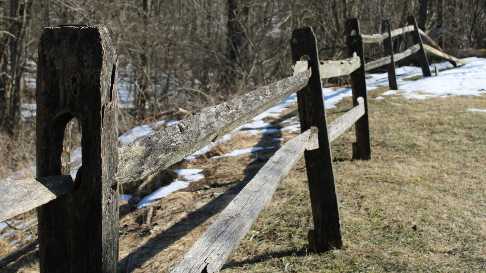 Split rail fence.