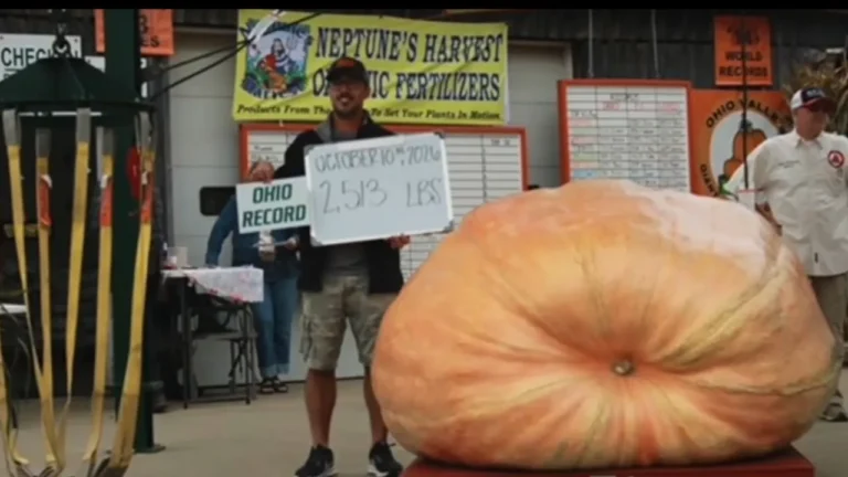 East Canton Man Grows Ohio-Record 2,513-Pound Pumpkin.