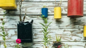 The 7 Best Garden Items to Thrift This Fall