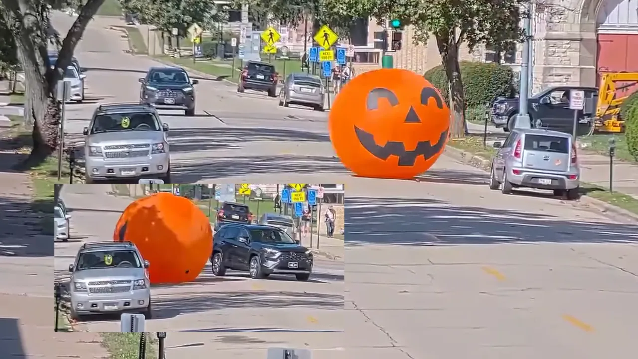 Giant inflatable pumpkin rolls.