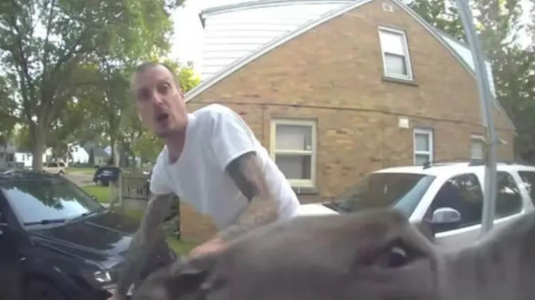 2 dogs charge into milwaukee home.