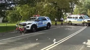 71-Year-Old Cyclist Dies After Dog Runs Into His Path in Central Park