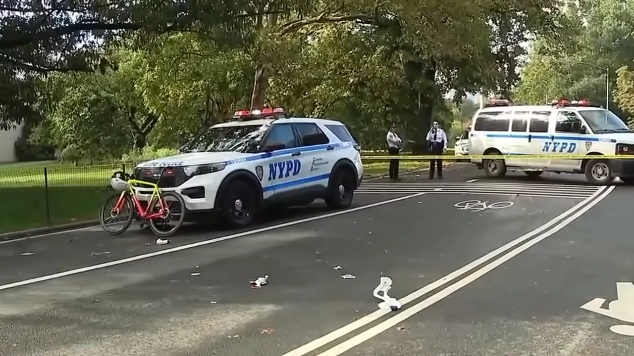 Cyclist dies after dog runs into his path in central park.