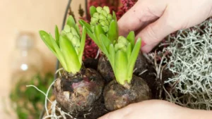 9 Smart Ways to Save Money in the Garden Before Fall Ends