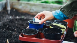 5 Things Gardeners Should Replace Every Year for a Healthier, More Productive Garden