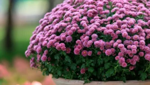 Stop Planting These 9 Perennials This October