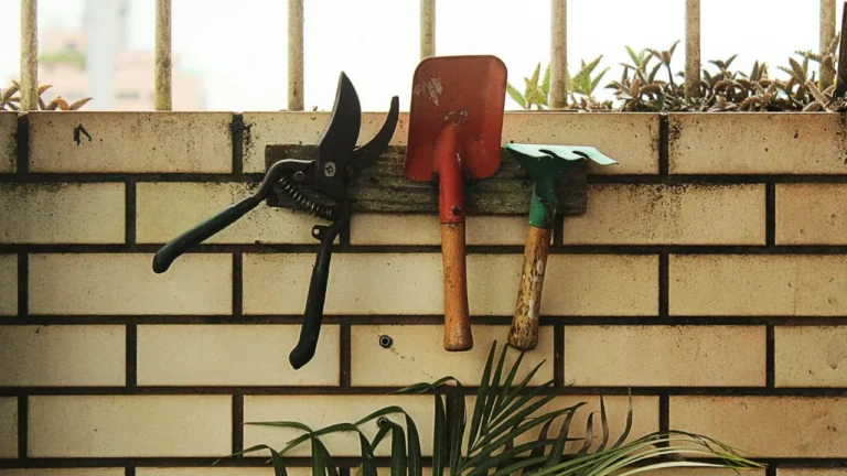Red shovel hanging on rack beside plant.