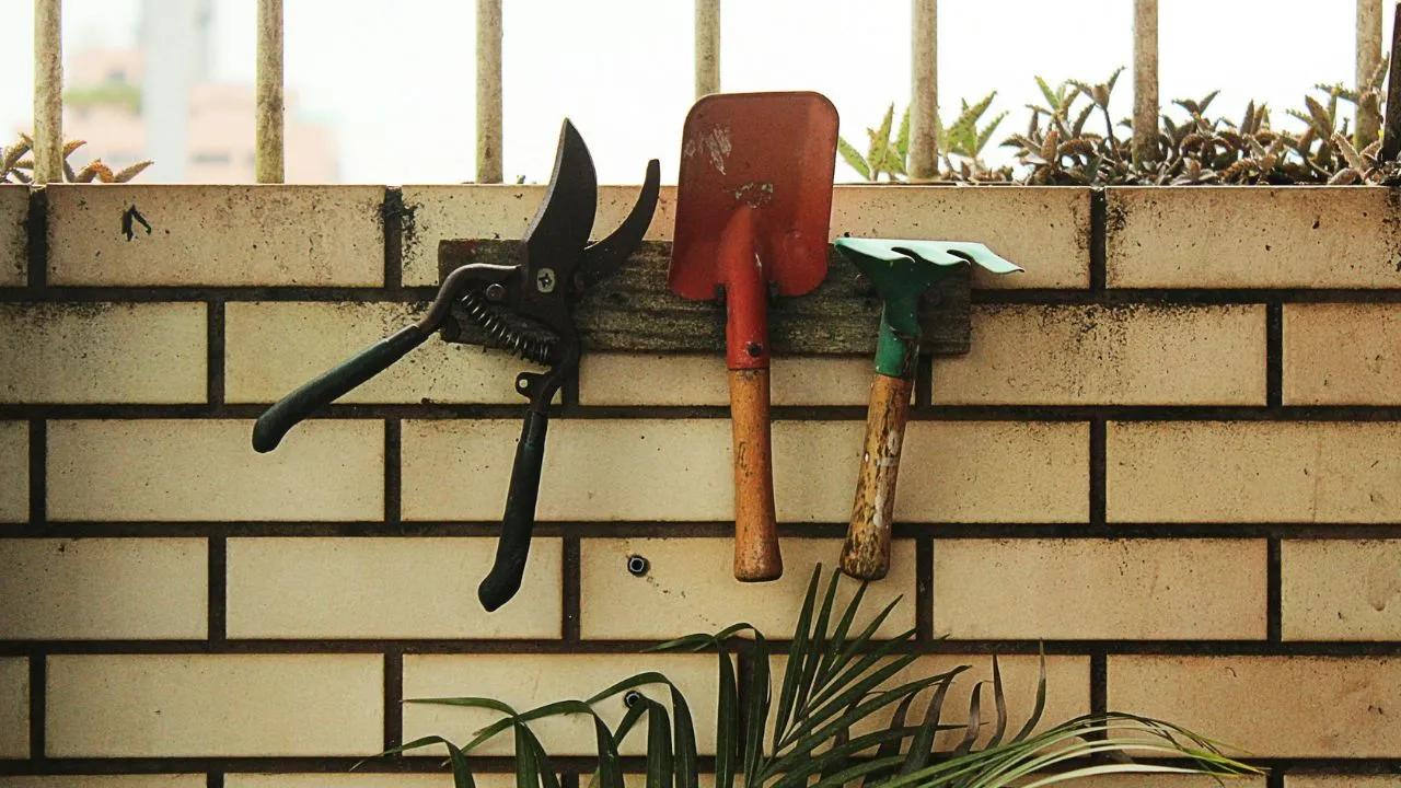 Red shovel hanging on rack beside plant.