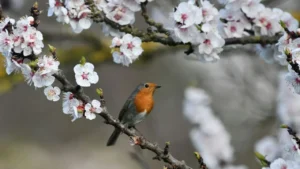 Stop Your Yard Cleanup! Birds Need These 7 Plants to Survive Winter