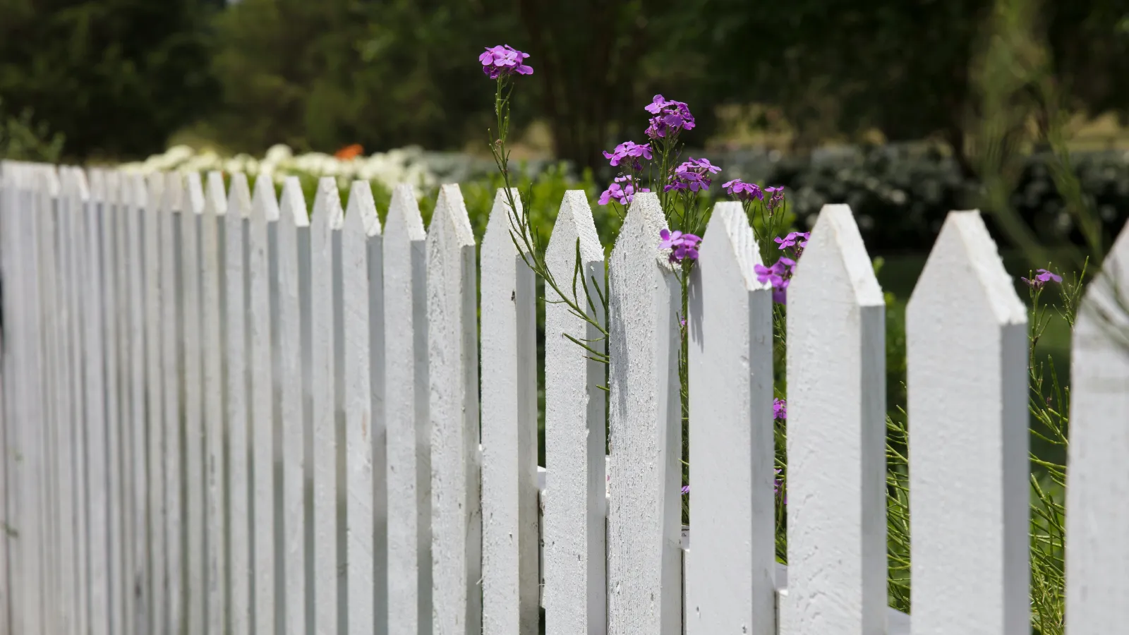 HOA fencing lawsuit.
