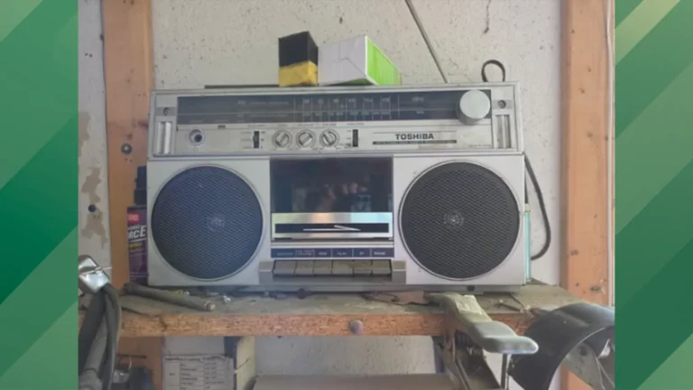 Woman celebrates long-lasting Toshiba.