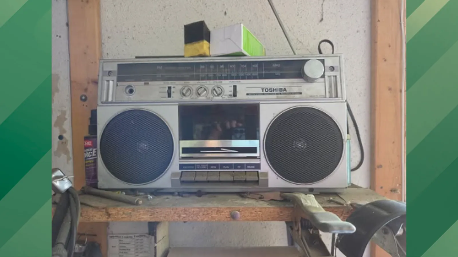 Woman celebrates long-lasting Toshiba.