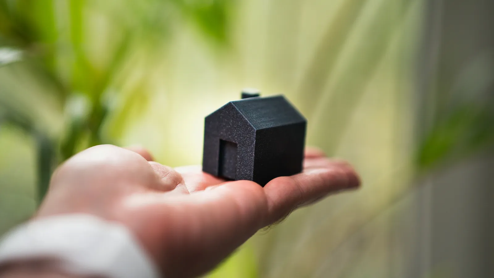 Neighbor interferes with home sale.