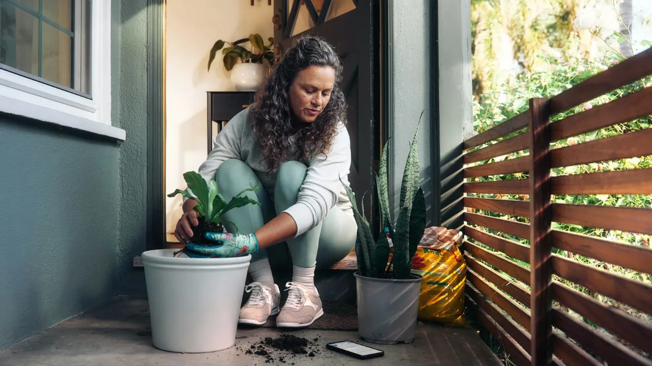 Woman planting a small houseplant in a pot.