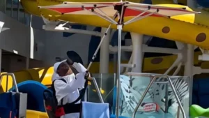 Royal Caribbean Cruise Ship Gets Some Uninvited Guests When Bees Swarm a Pool Umbrella