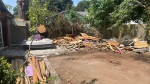 A Neighbor’s 200-Year-Old Tree Crushed a Rental Home After Ignoring Concerns. The Landlord Won $60,000