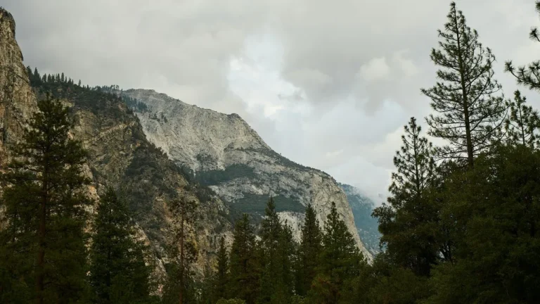 kings canyon.