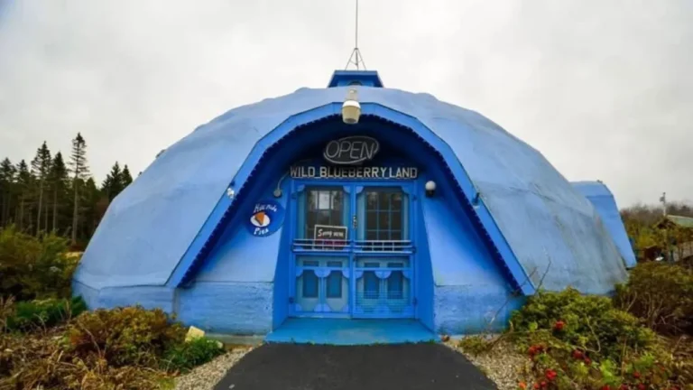 maine-blueberry-shop.