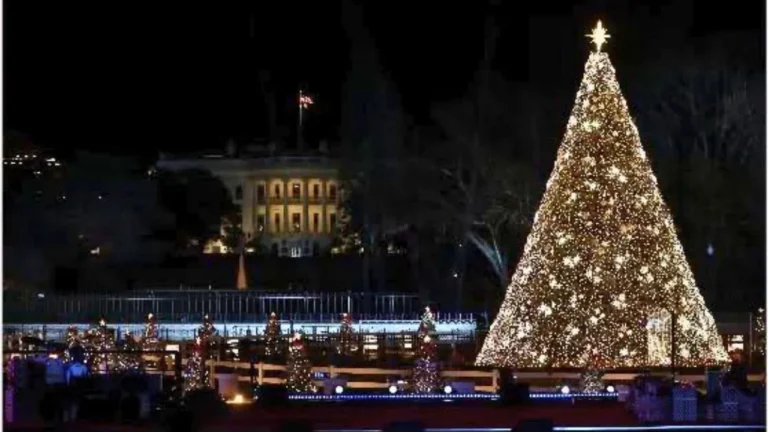 national tree.