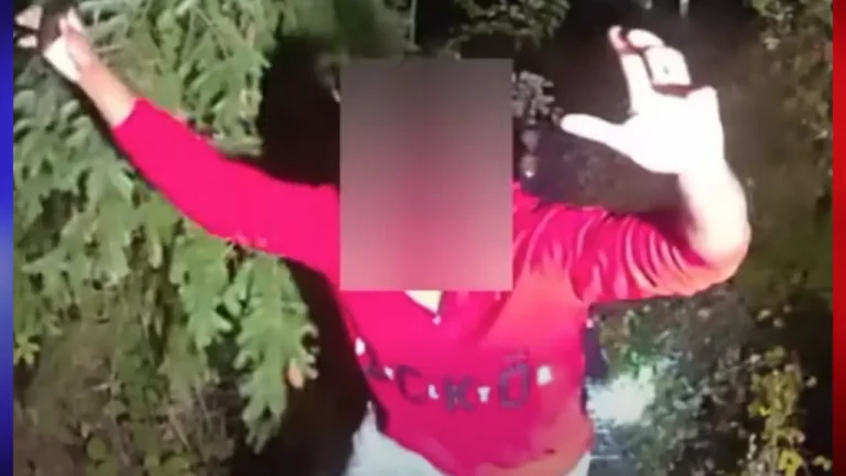 Man gets stuck in blackberry bushes.