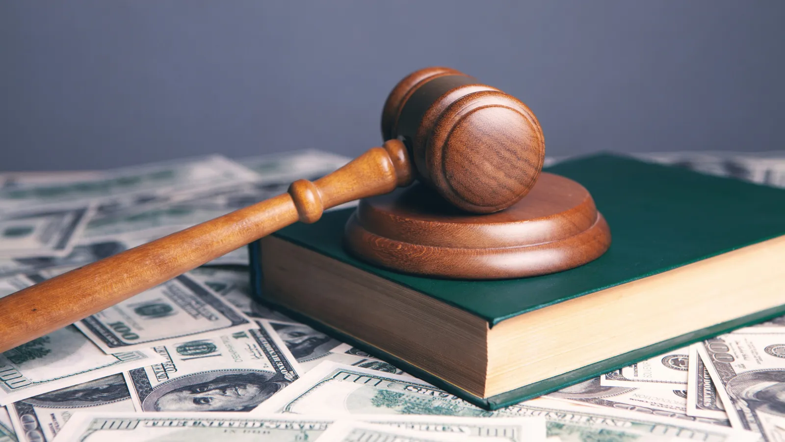 stock photo gavel and money.