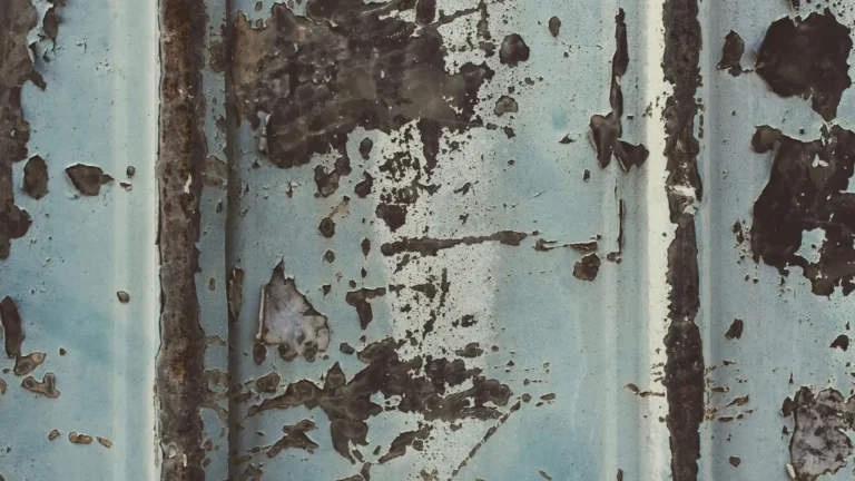 stock photo mold.