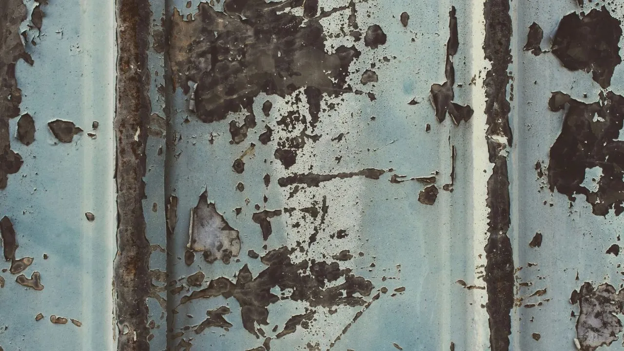 stock photo mold.