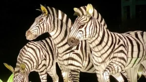 Smithsonian’s National Zoo is Bringing Back Its Holiday Lights, Including a Special Adults-Only Night